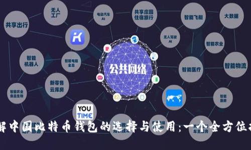 了解中国比特币钱包的选择与使用：一个全方位指南