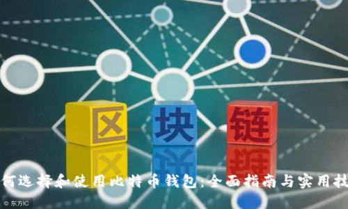 如何选择和使用比特币钱包：全面指南与实用技巧