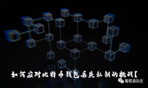 如何应对比特币钱包丢失私钥的挑战？
