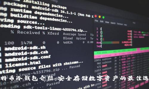 比特币冷钱包介绍：安全存储数字资产的最佳选择