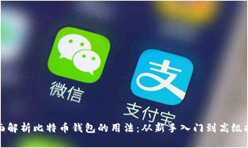 全面解析比特币钱包的用法：从新手入门到高级技巧