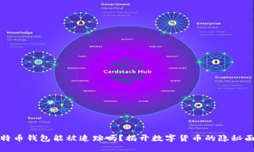 比特币钱包能被追踪吗？揭开数字货币的隐秘面纱