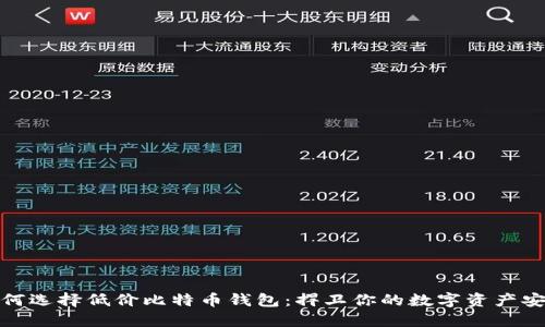 如何选择低价比特币钱包：捍卫你的数字资产安全