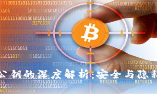 比特币钱包公钥的深度解析：安全与隐私的平衡之道