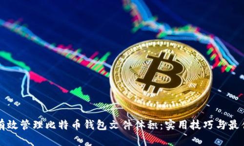 如何有效管理比特币钱包文件体积：实用技巧与最佳实践