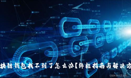 区块链钱包找不到了怎么办？终极指南与解决方案