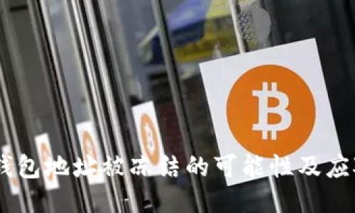 USDT钱包地址被冻结的可能性及应对策略