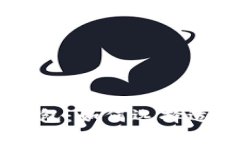 安全不需要实名的USDT钱包