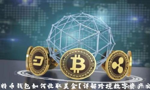 
比特币钱包如何收取美金？详解跨境数字资产交易