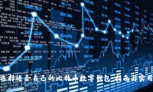 如何选择适合自己的比特币数字钱包：指南与实用建议
