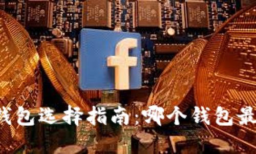 虚拟币钱包选择指南：哪个钱包最适合你？