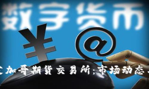 深入探讨芝加哥期货交易所：市场动态与投资策略