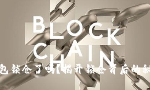 比特币钱包锁仓了吗？揭开锁仓背后的秘密与影响