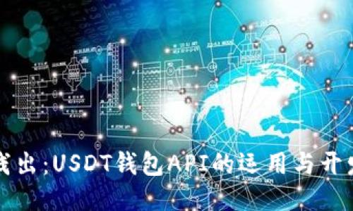 深入浅出：USDT钱包API的运用与开发指南