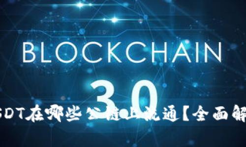 USDT在哪些公链上流通？全面解析