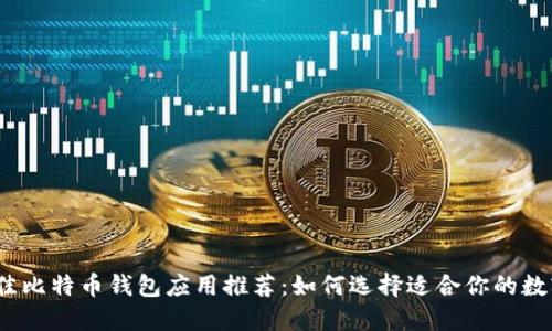 2023年最佳比特币钱包应用推荐：如何选择适合你的数字货币钱包