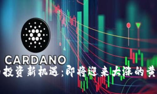 比特币投资新机遇：即将迎来大涨的黄金时刻