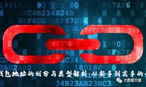 区块链钱包地址的划分与类型解析：从新手到高手的全面指南