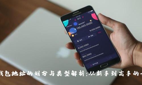 区块链钱包地址的划分与类型解析：从新手到高手的全面指南