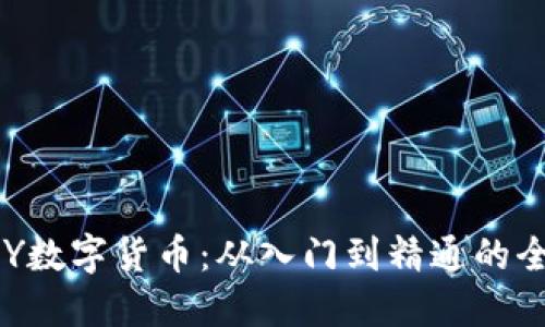 探索PAY数字货币：从入门到精通的全面指南