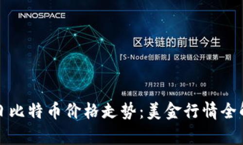 今日比特币价格走势：美金行情全解析