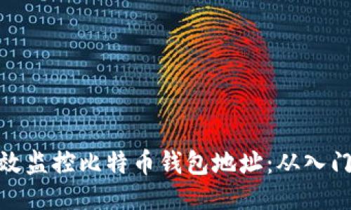 如何高效监控比特币钱包地址：从入门到精通