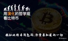 揭秘比特币钱包码：你需