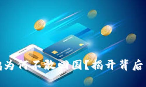 赵长鹏为何不敢回国？揭开背后的真相