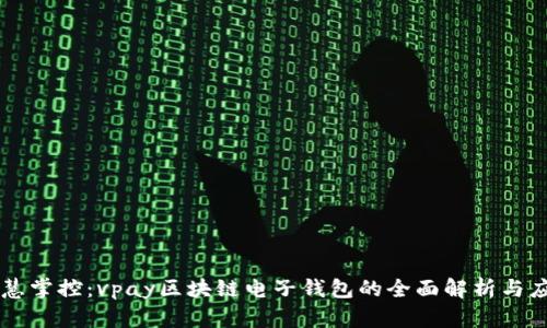 智慧掌控：vpay区块链电子钱包的全面解析与应用
