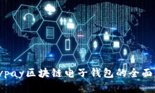 智慧掌控：vpay区块链电子钱包的全面解析与应用