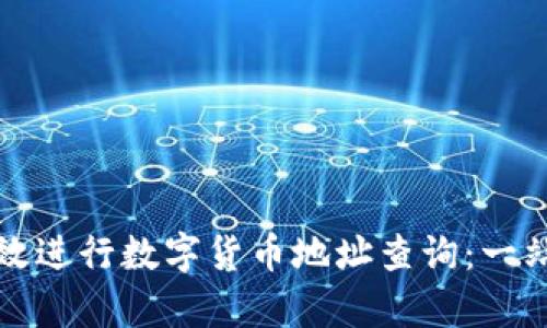 如何有效进行数字货币地址查询：一站式指南