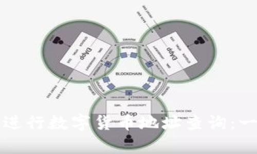 如何有效进行数字货币地址查询：一站式指南