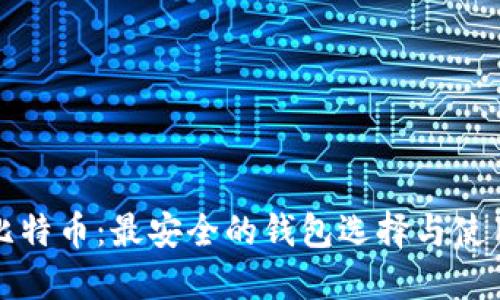 探秘比特币：最安全的钱包选择与使用指南