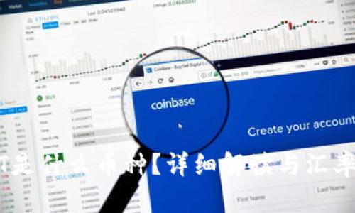 USDT是什么币种？详细解读与汇率分析