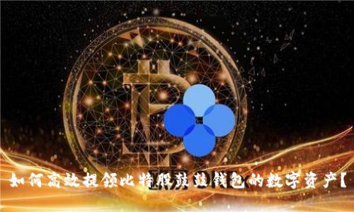 如何高效提领比特股鼓鼓钱包的数字资产？