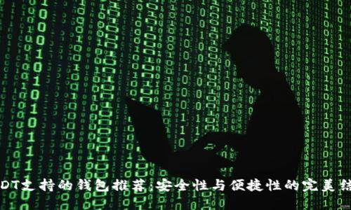 USDT支持的钱包推荐：安全性与便捷性的完美结合