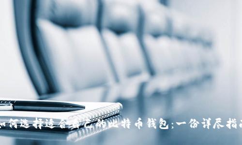 如何选择适合自己的比特币钱包：一份详尽指南