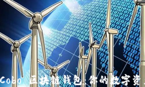 
如何使用 Cobo 区块链钱包：你的数字资产保护指南