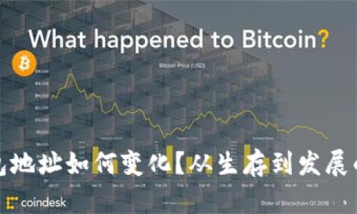 比特币钱包地址如何变化？从生存到发展的演变之路