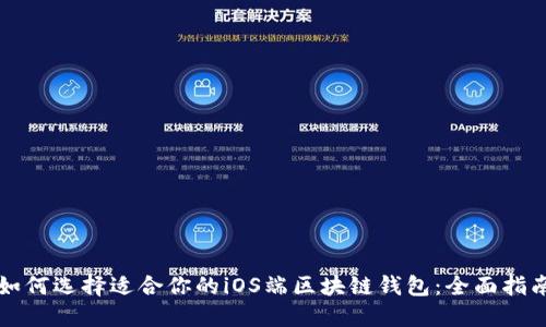 如何选择适合你的iOS端区块链钱包：全面指南