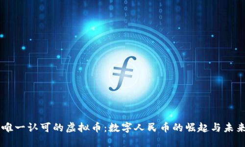 中国唯一认可的虚拟币：数字人民币的崛起与未来展望