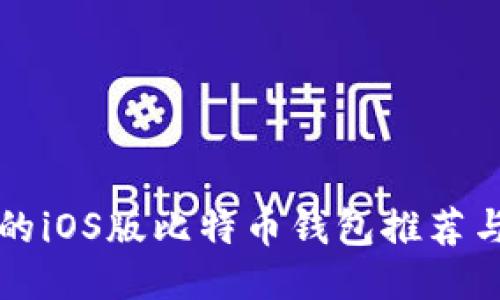 支持中文的iOS版比特币钱包推荐与使用指南