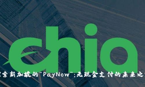 探索新加坡的“PayNow”：无现金支付的未来之路