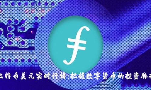 比特币美元实时行情：把握数字货币的投资脉搏