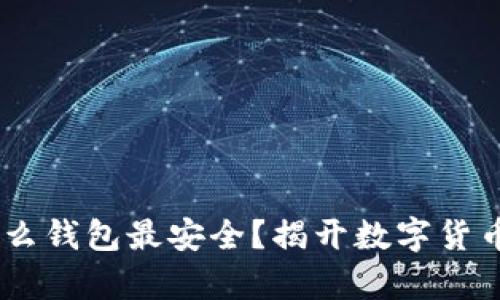 USDT放在什么钱包最安全？揭开数字货币存储的秘密