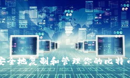如何安全地复制和管理你的比特币钱包