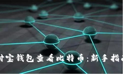 如何通过支付宝钱包查看比特币：新手指南与实用技巧