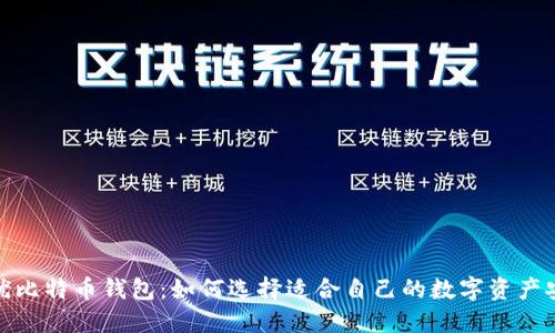 探索最优比特币钱包：如何选择适合自己的数字资产安全方案