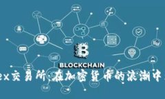 探寻Garantex交易所：在加密