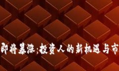 ADA币即将暴涨：投资人的